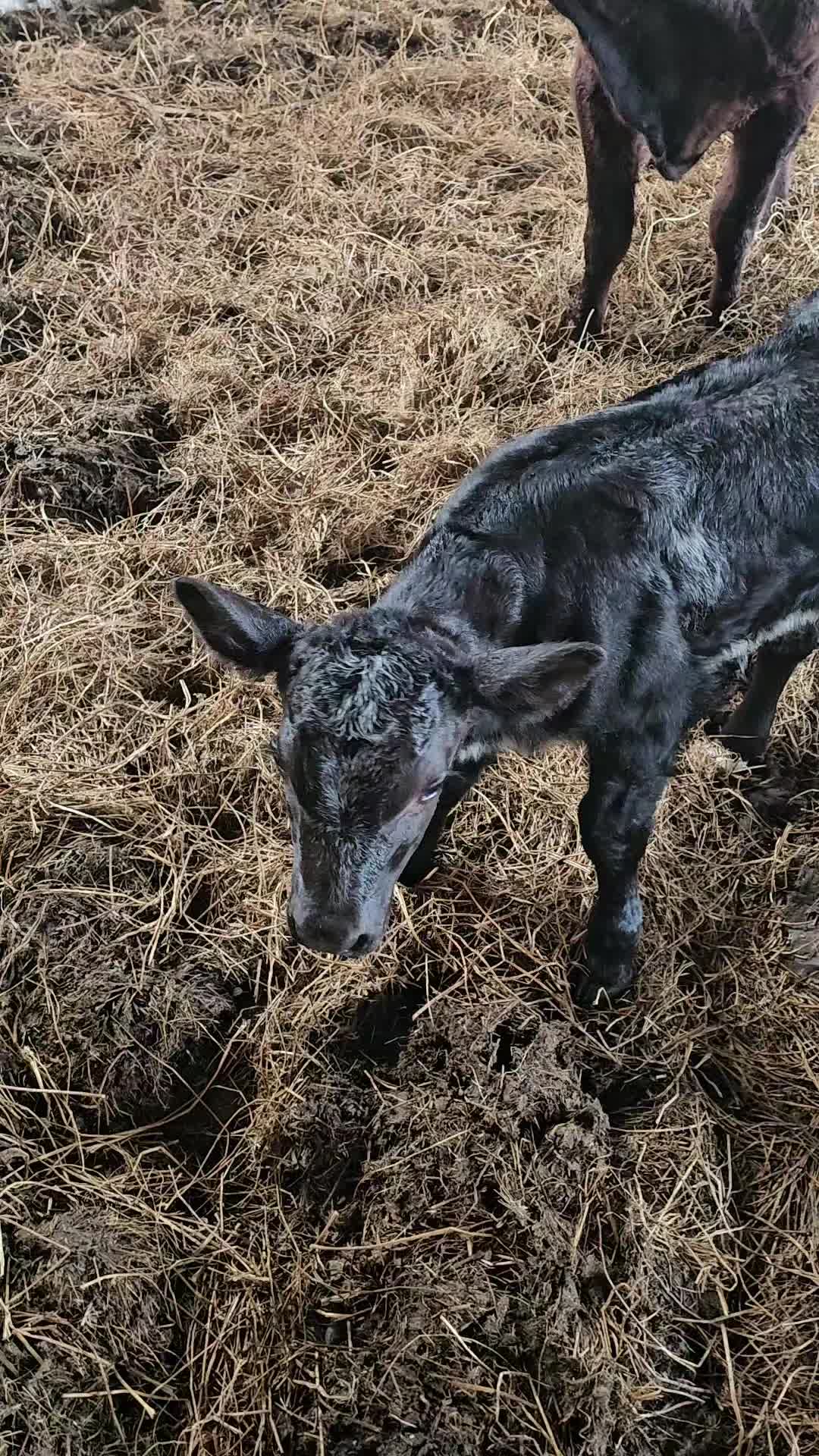 @finnowfarm