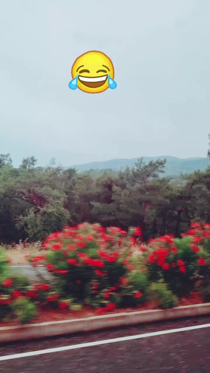 @Zubi🙋♀️زوبی