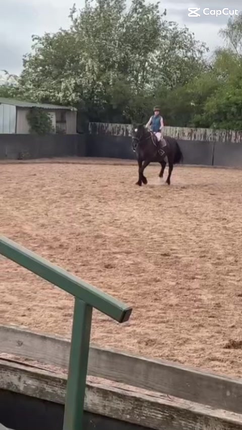 @G May Eq
