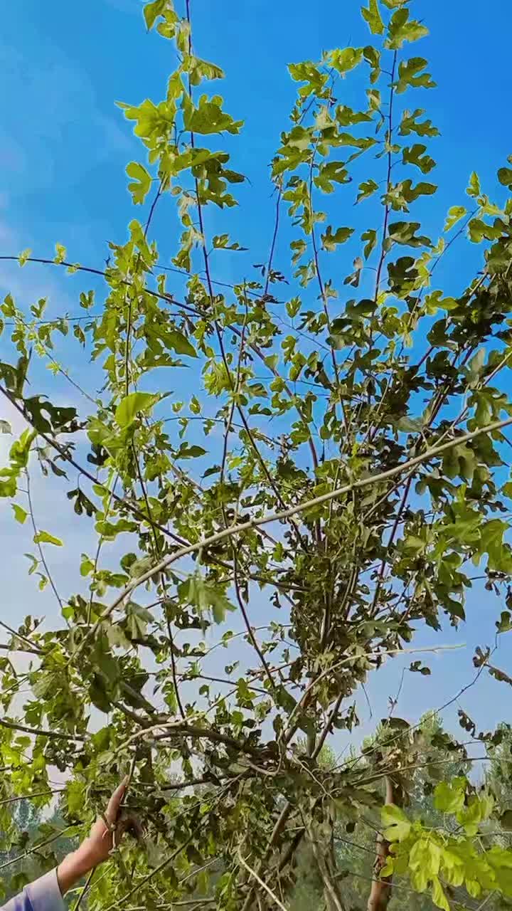 @❣️Khan🇵🇰6830