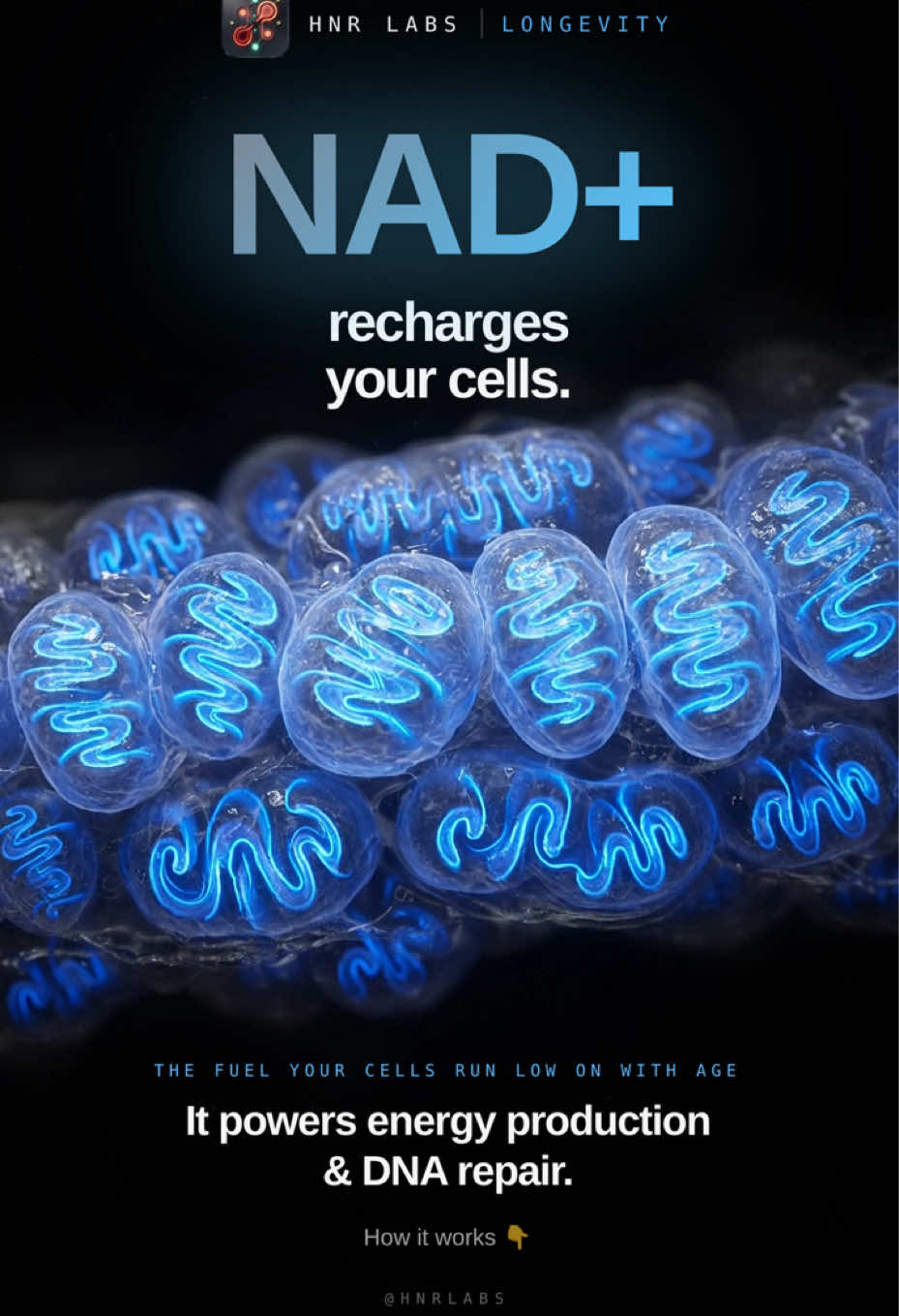 @HNR Labs