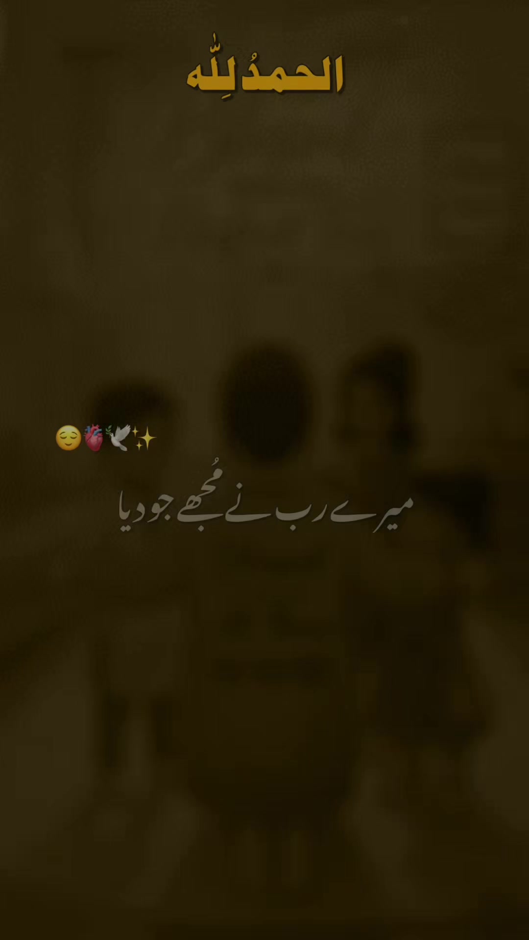 @Aneela Toseef