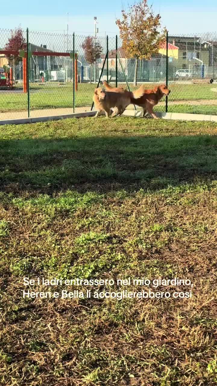 @Maria Petullo