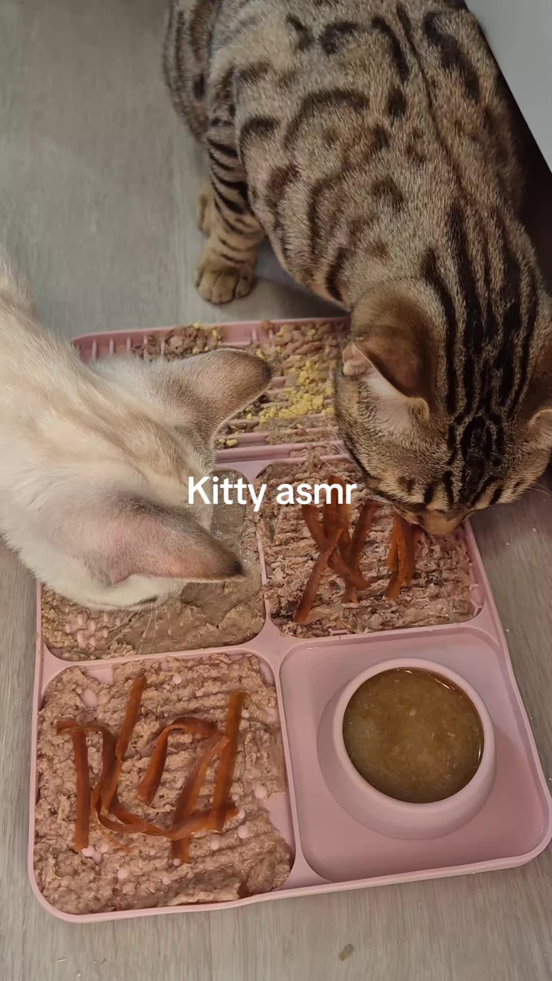 @brattylittlerainbowgirl