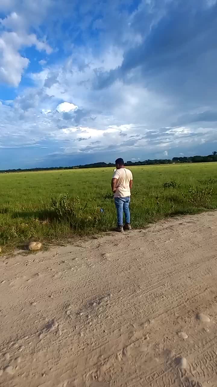 @el taya