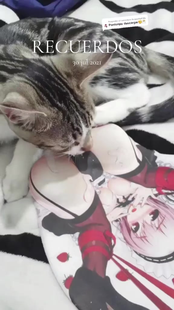 @Ruka D. Cosplay