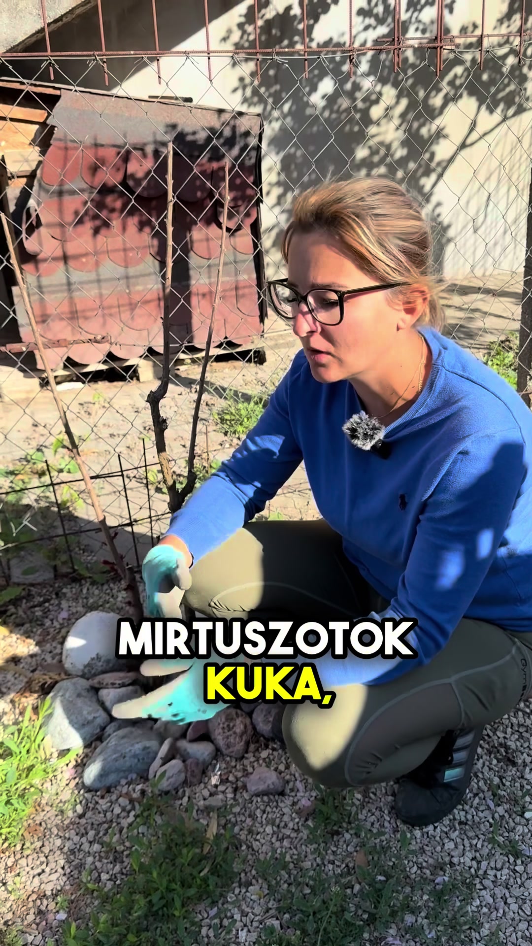 @Jámbor Fanni