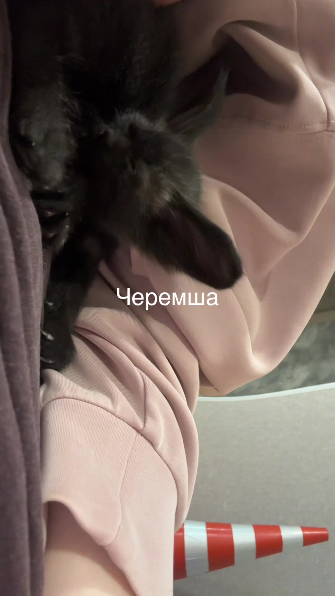 @Тгк Нежный ум