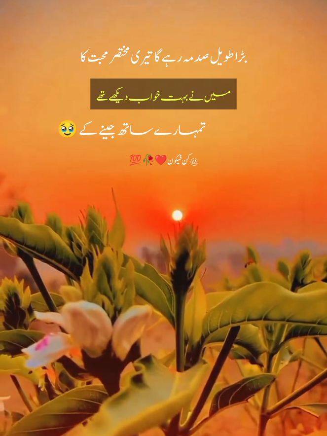 @کن فیکون ❤️