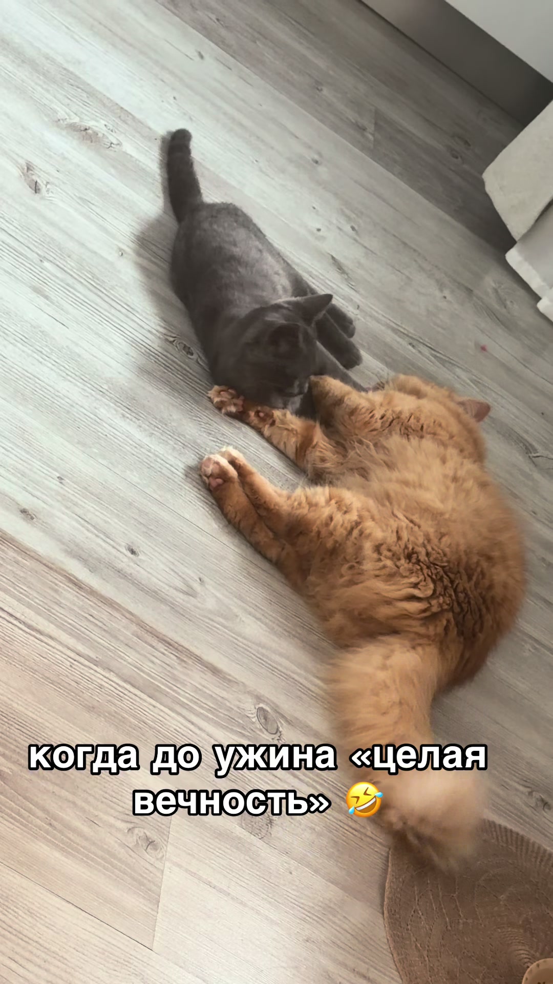 @Zjuzik