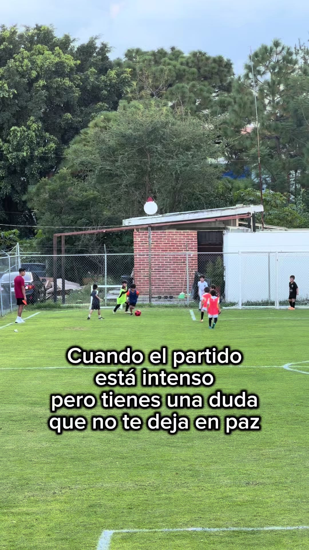 @Los Macías