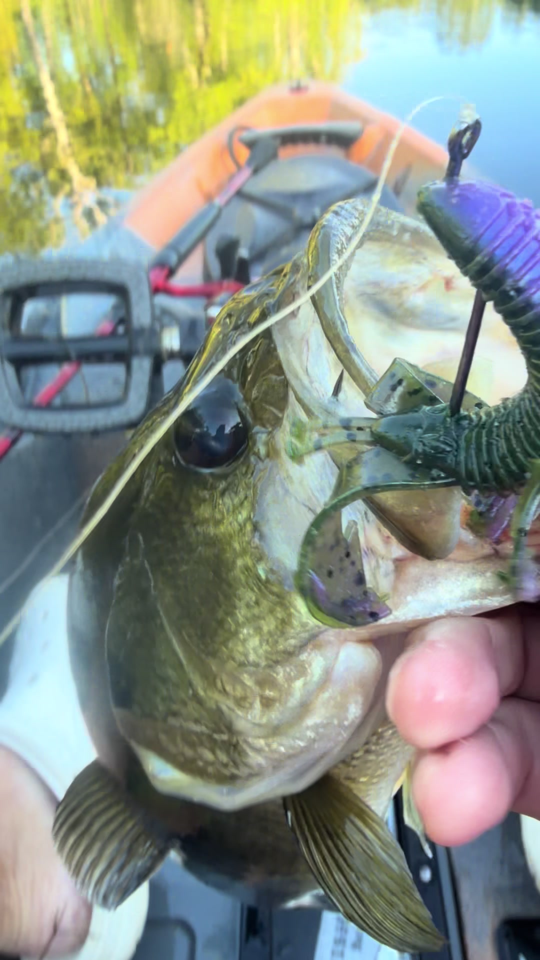 @wildbillfishing