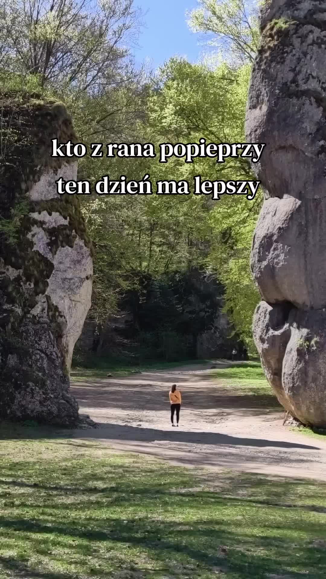 @Czihuahua