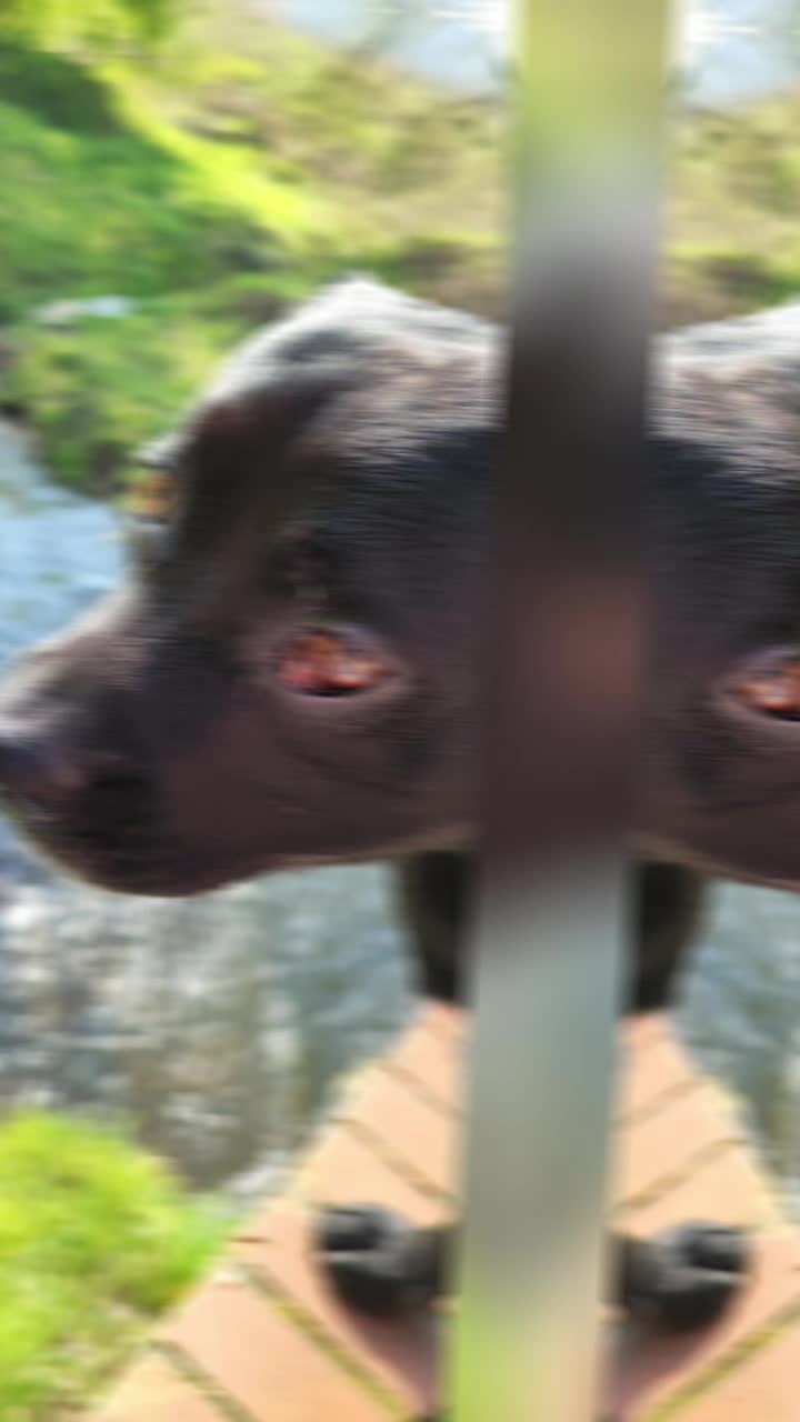 @ᛒᛖᚱᛊᛖᚱᚲᛖᚱ🐼