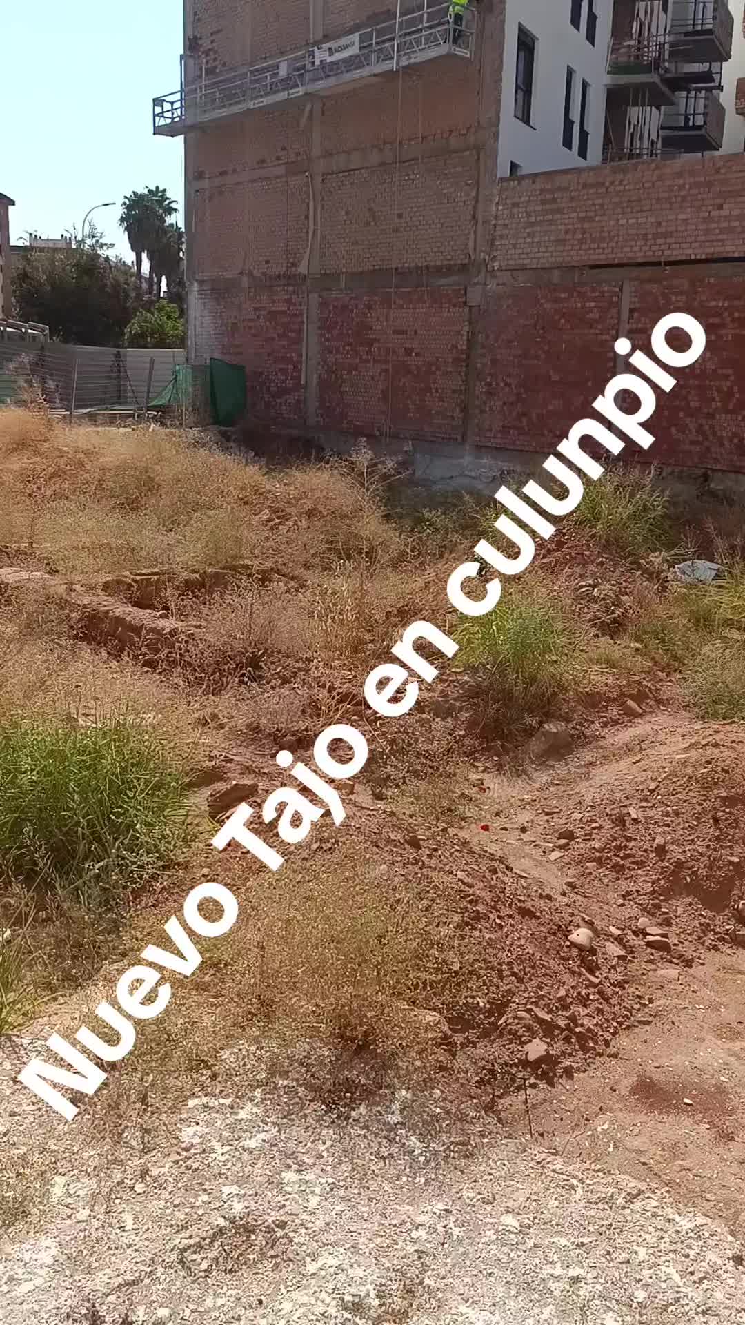 @gallos e trabajo