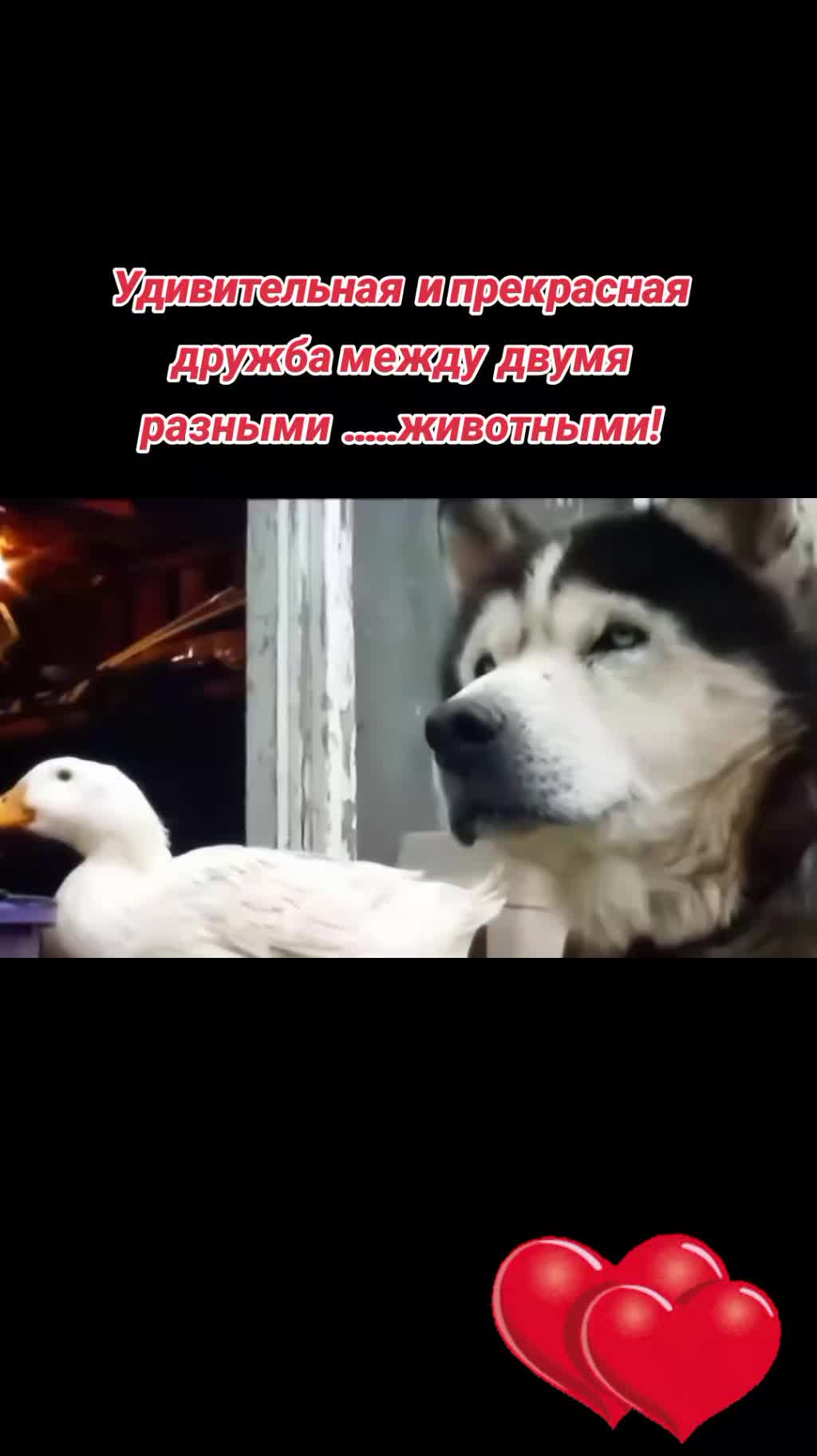 @S.М.