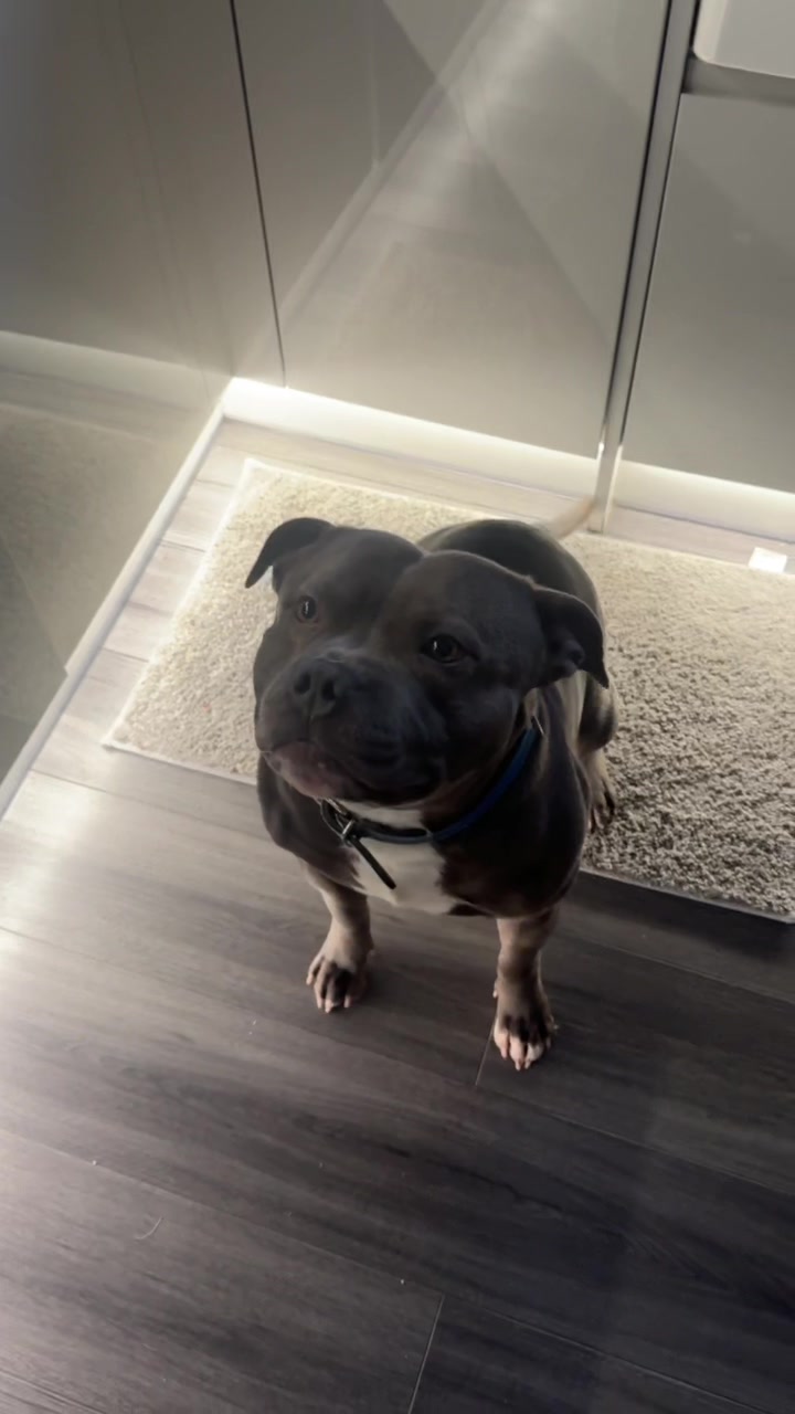 @jaegerstaffy