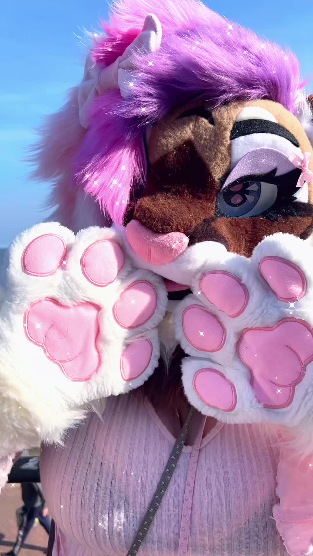 @🤍🎀 𝓐𝓷𝓰𝓮𝓵 🎀🤍CFZ2026