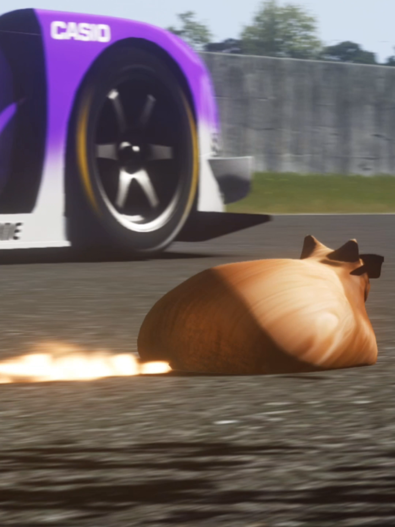 @Pablo the Race Cat