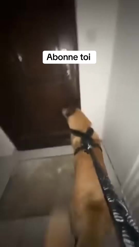 @Barakette Le Roubaisiens