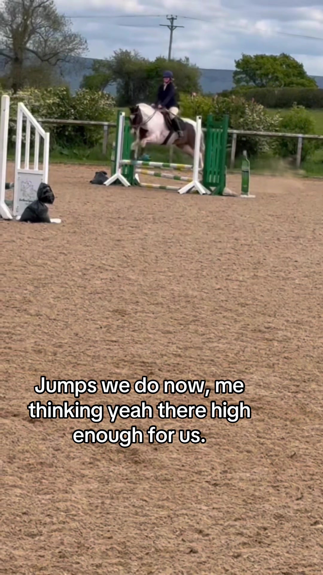@Lilywiththecobs🐴