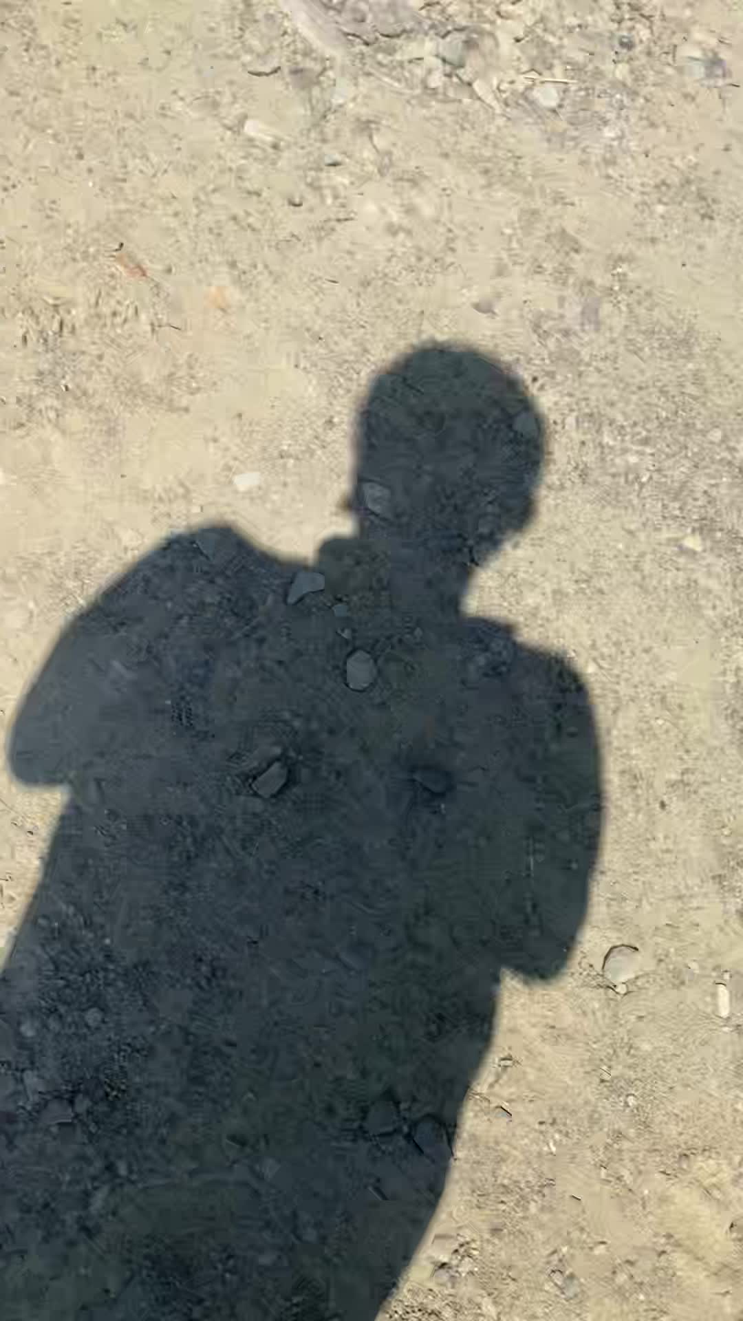 @AL3X