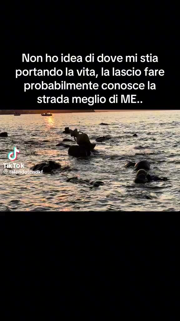 @melo.guerino