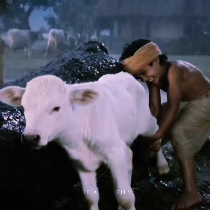@🚩Jai shri ram🚩
