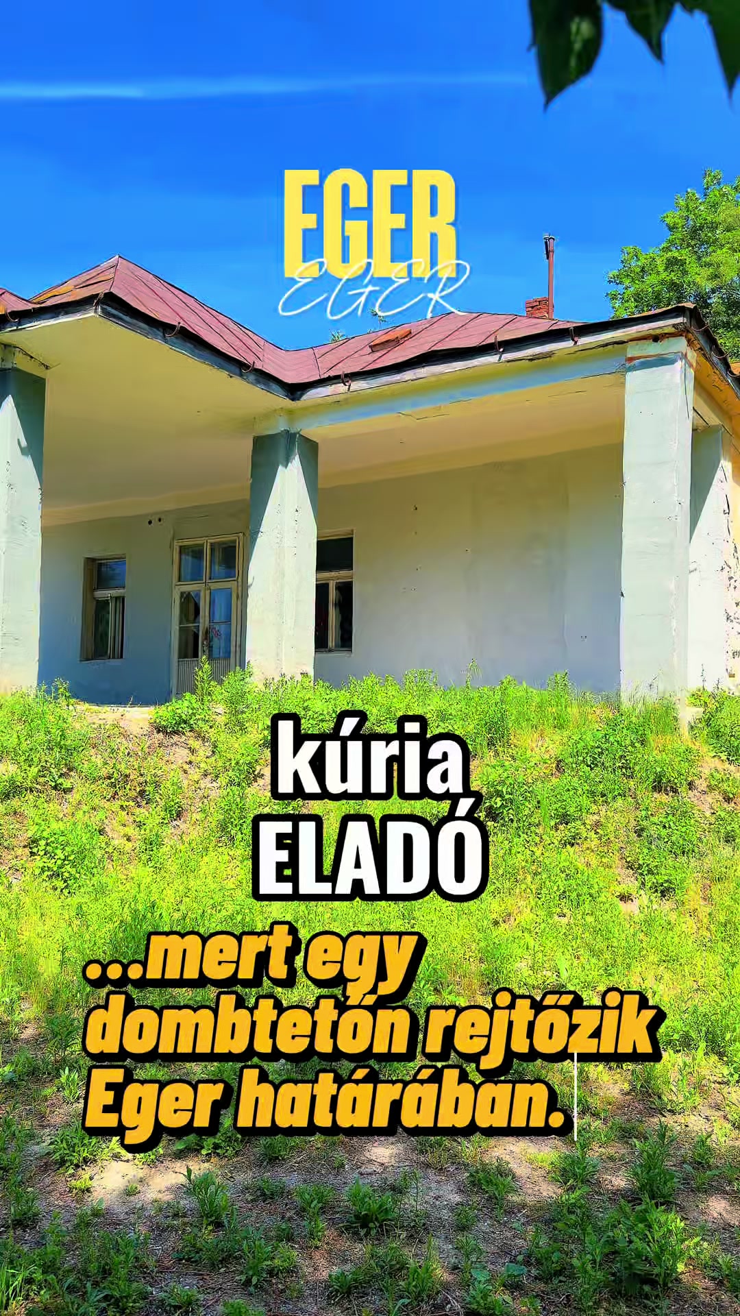 @TOP INGATLAN MEZŐKÖVESD