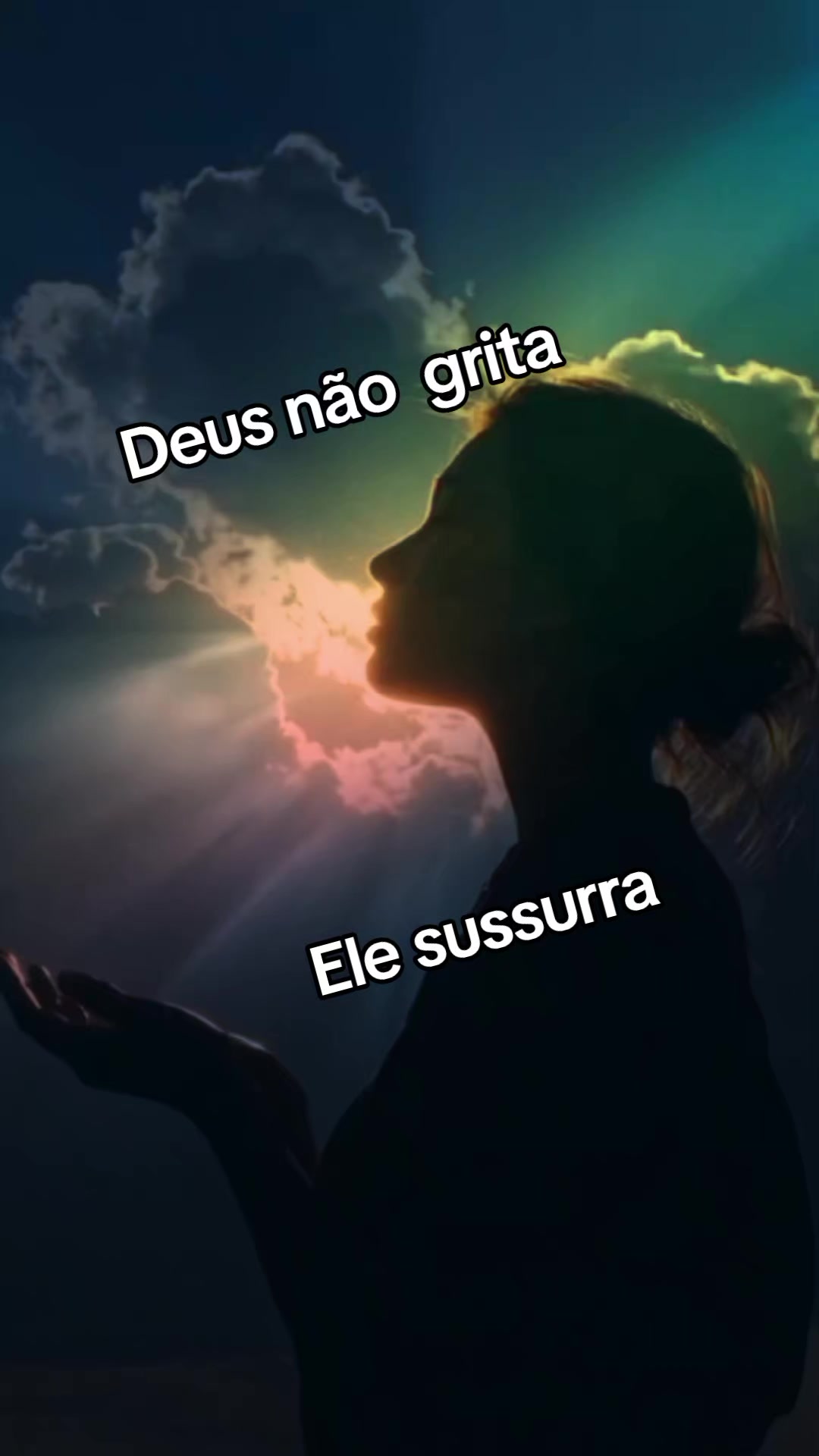 @Beth Freitas