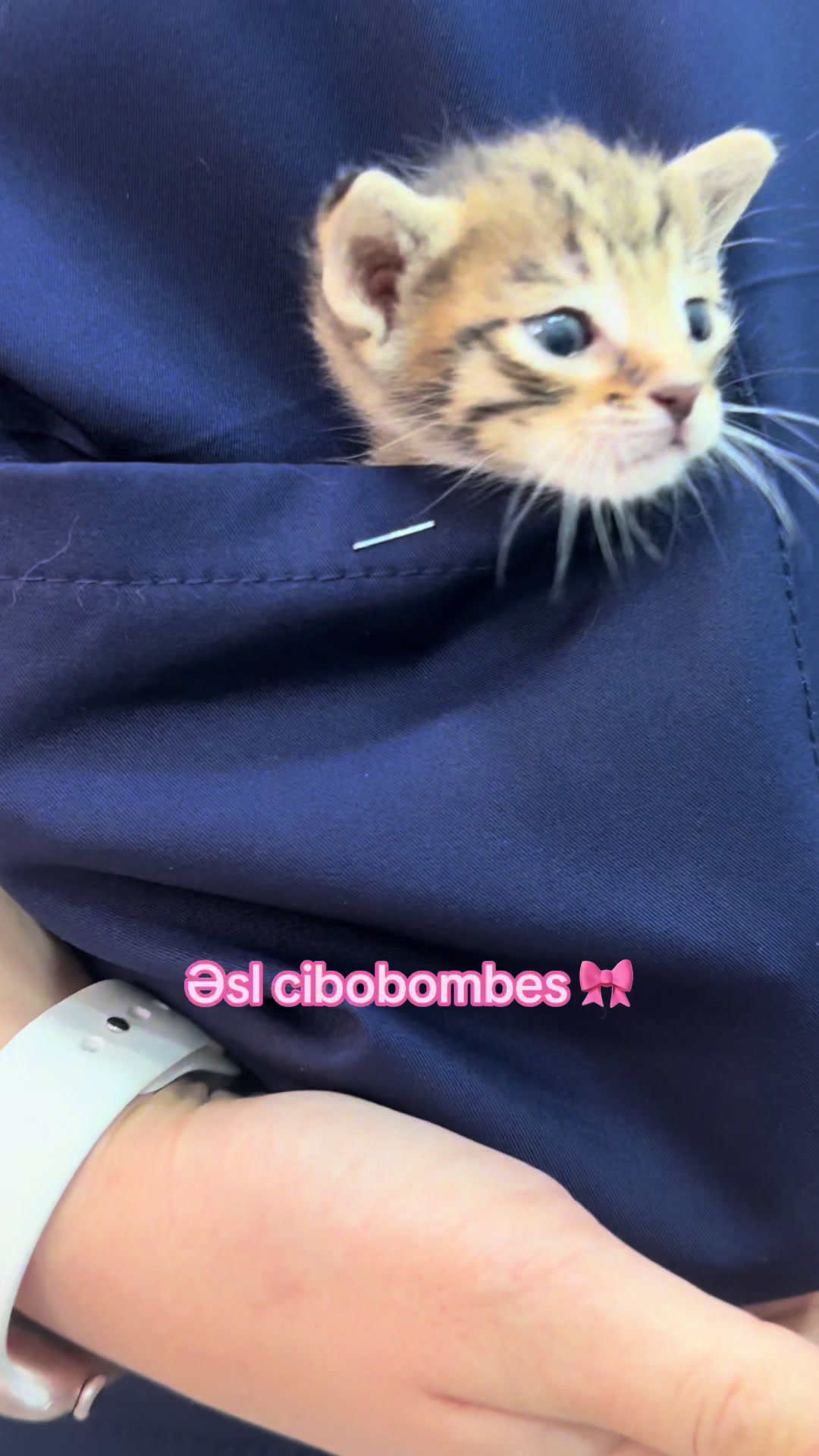@𝙈ə𝙨𝙩𝙖𝙣🇦🇿♐