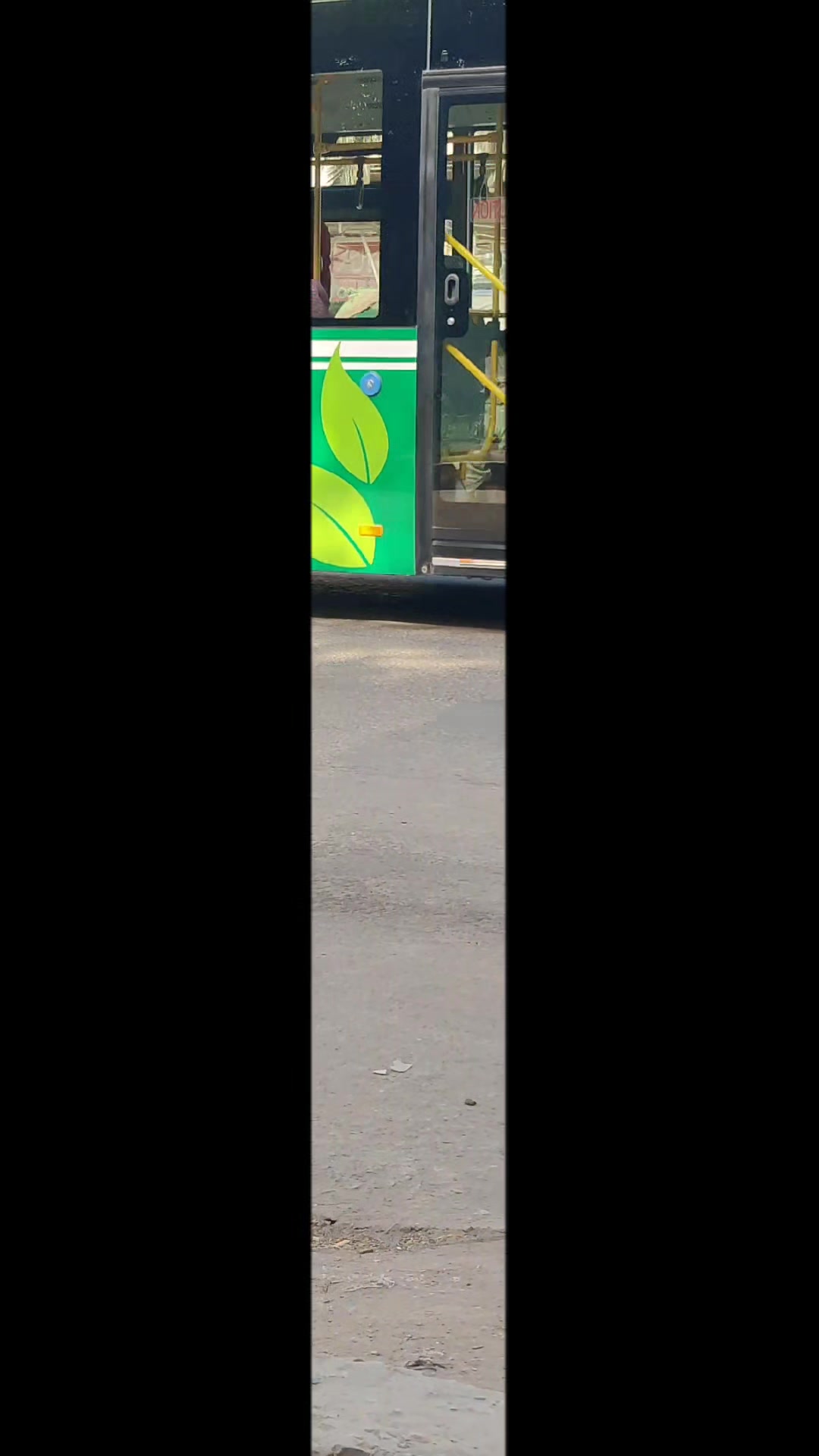@Punjab Green Bus