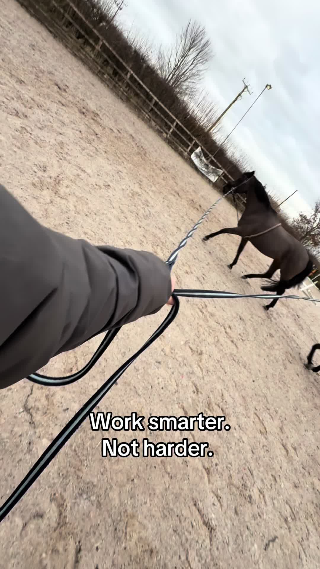 @RavenSide Equestrian