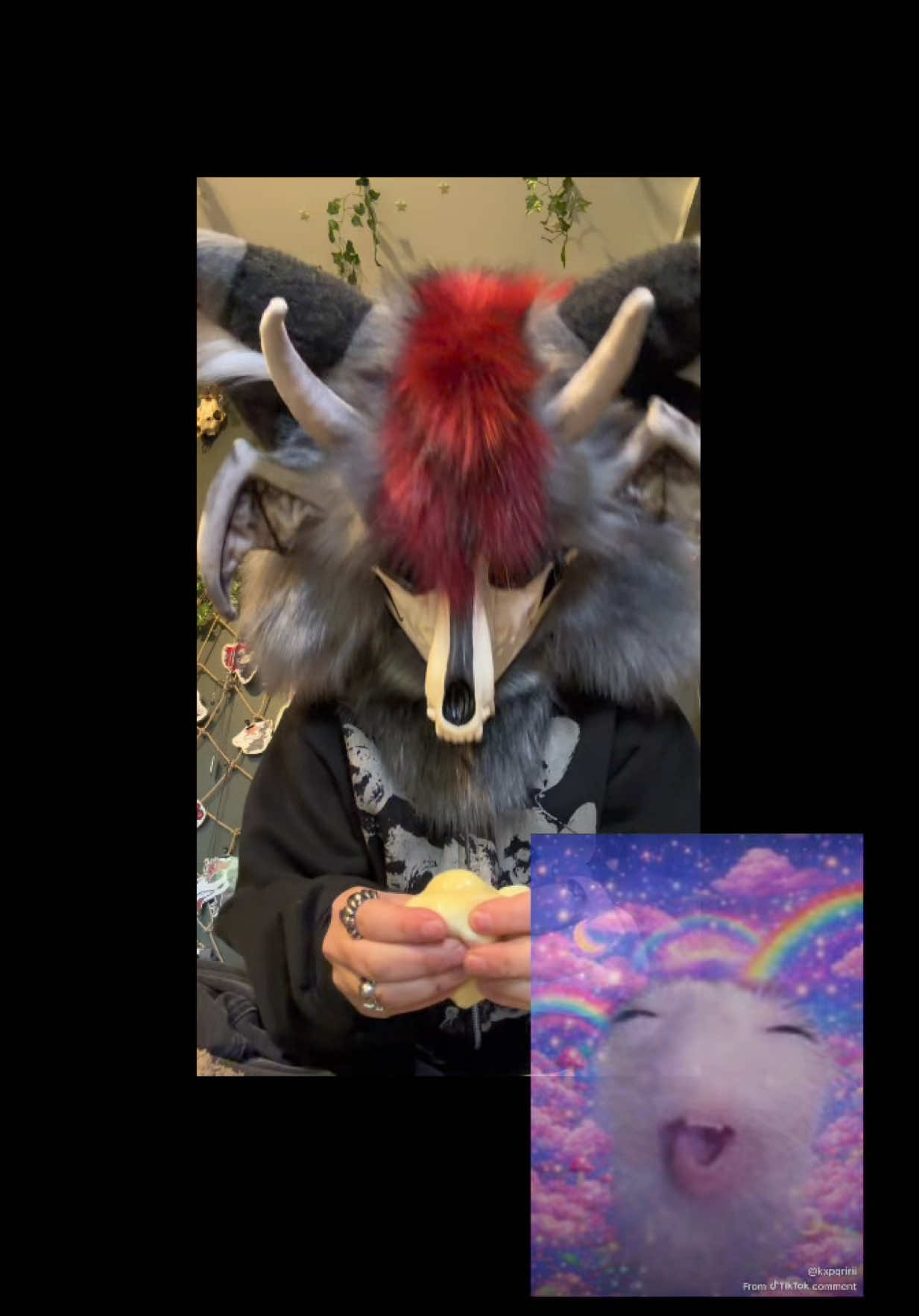 @꧁༺ 𝓥𝓮𝓰𝓪𝓼 ༻꧂