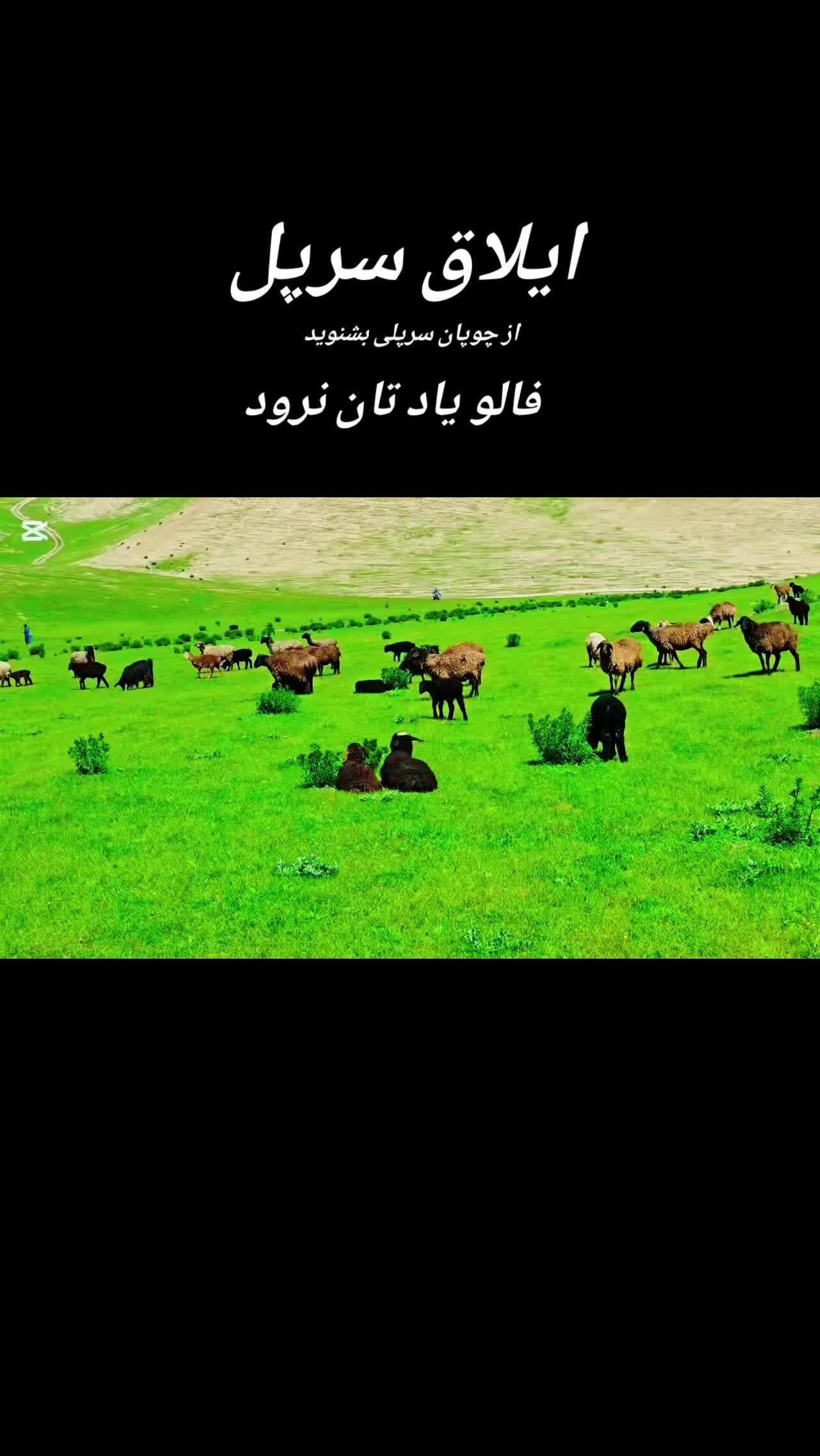 @hayatullah Ishaqzai