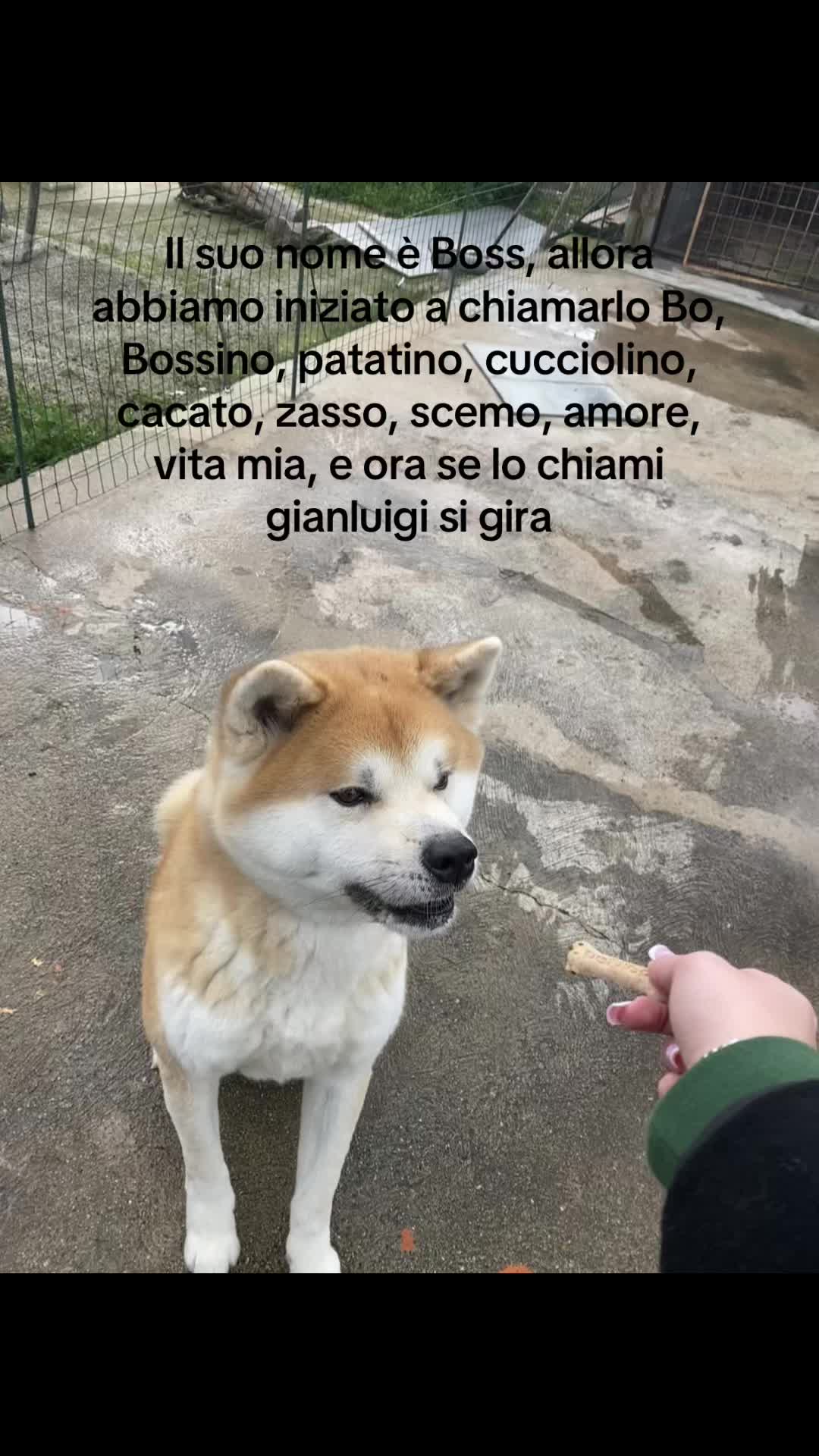 @jas