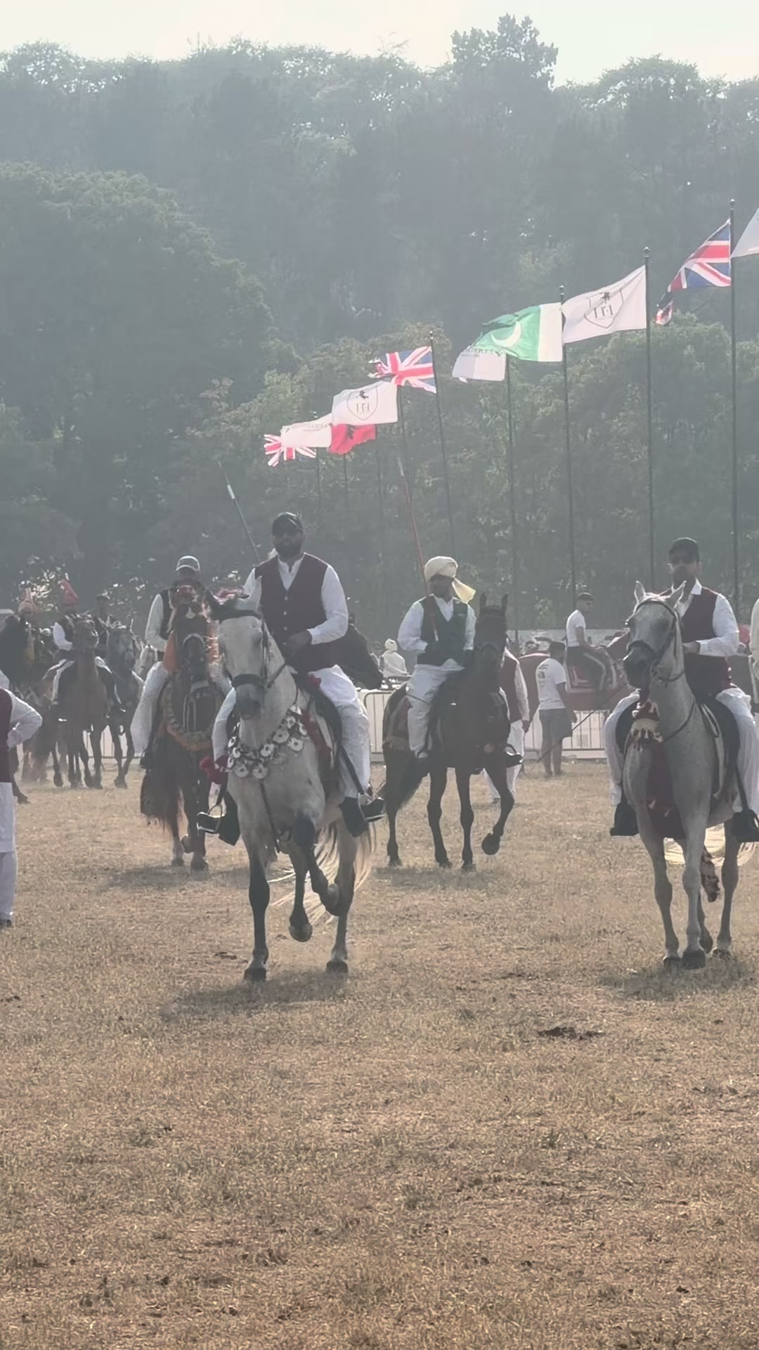 @Slough horses