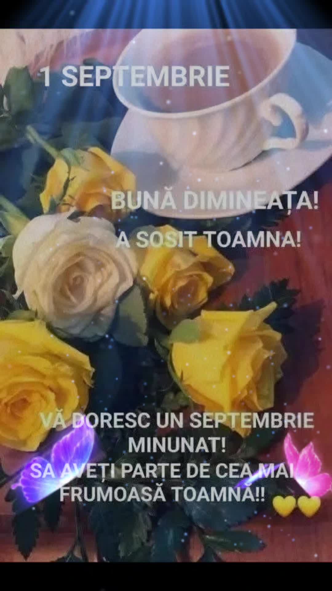 @Nicolae Iamandi Marin