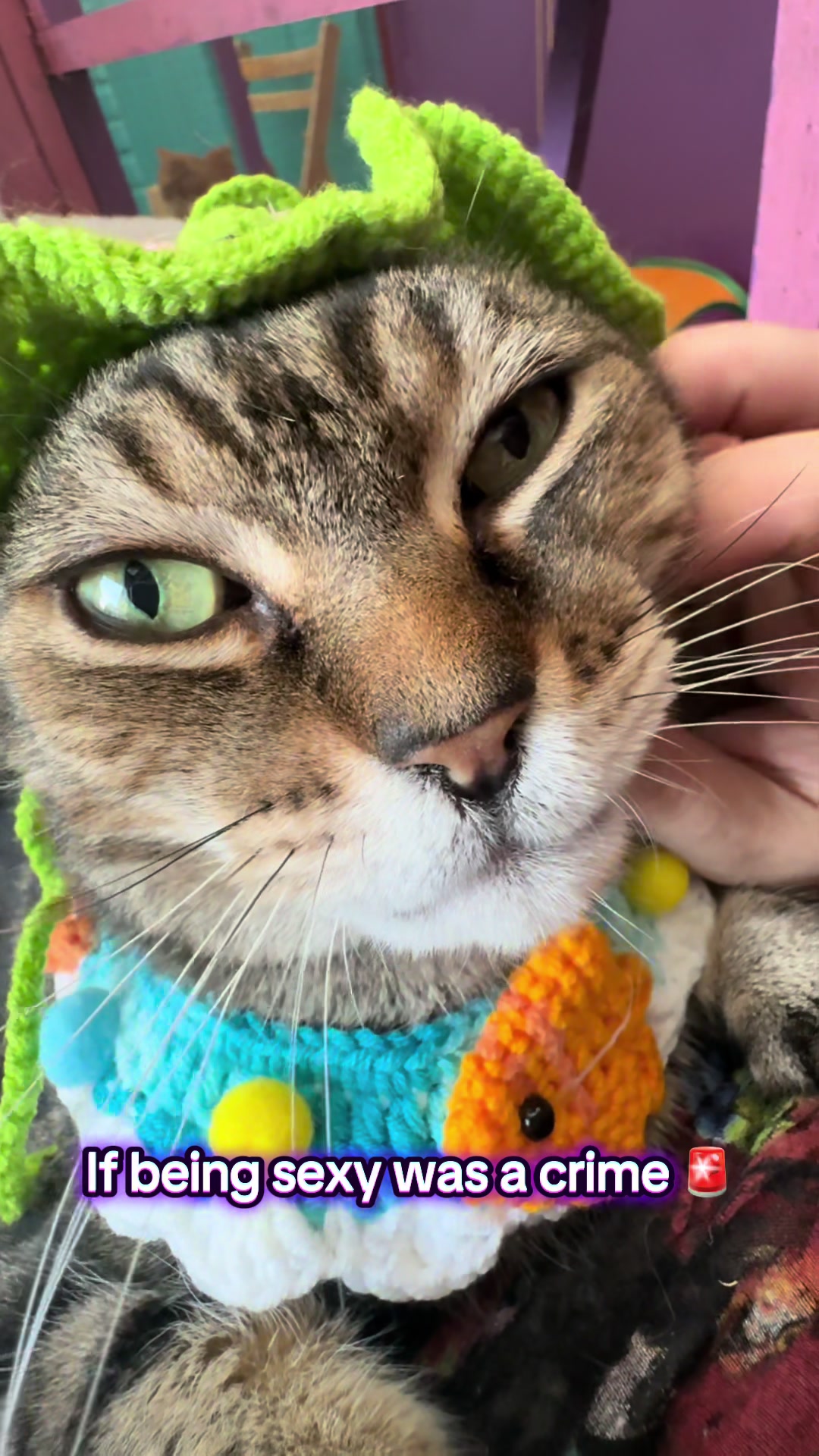 @swalecliffecattery