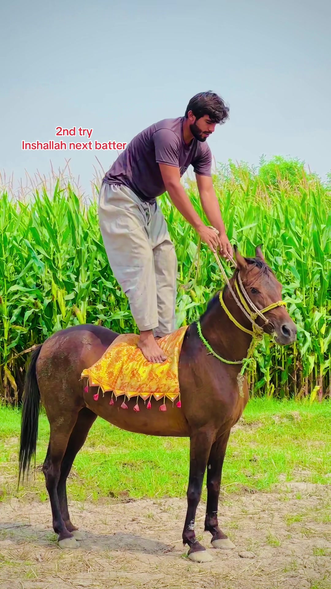 @Saqlain Khanuana
