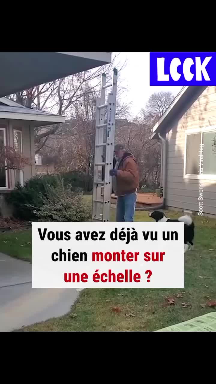 @Delphine