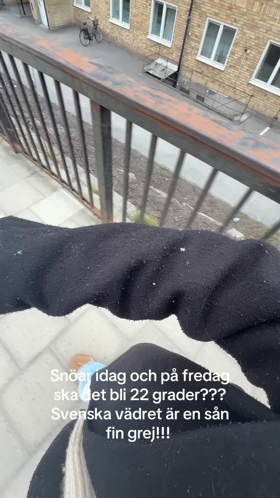 @tildespamm