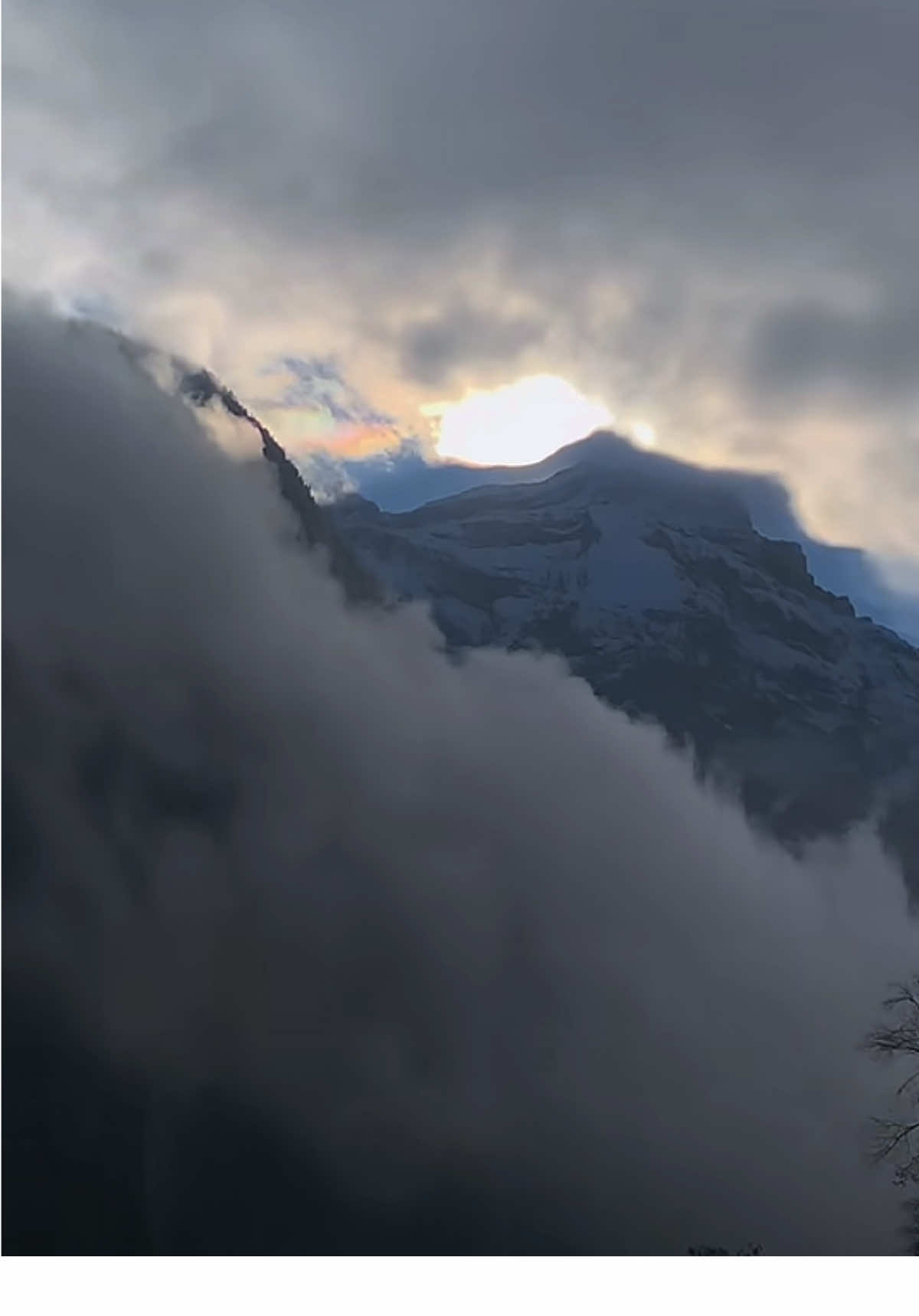 @SwissForestElf