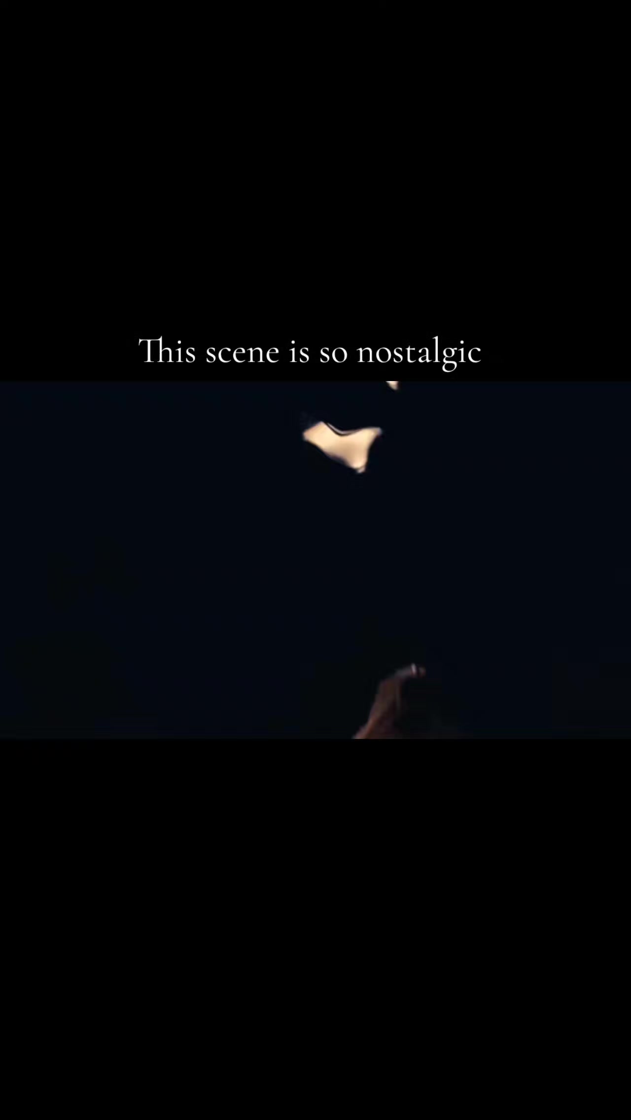 @harrypotterfan8507