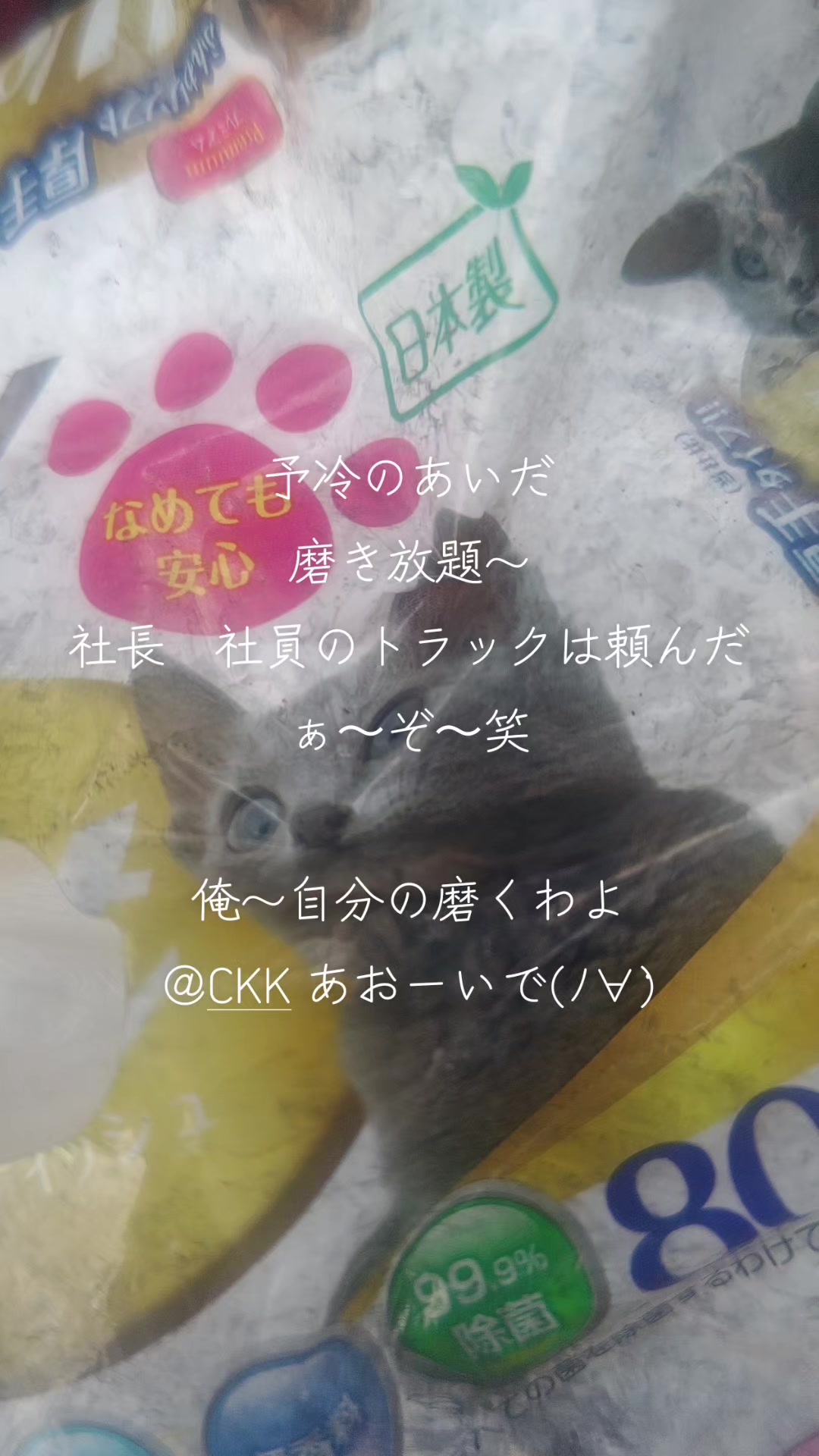 @マジカルな🙄ずんだひろし??