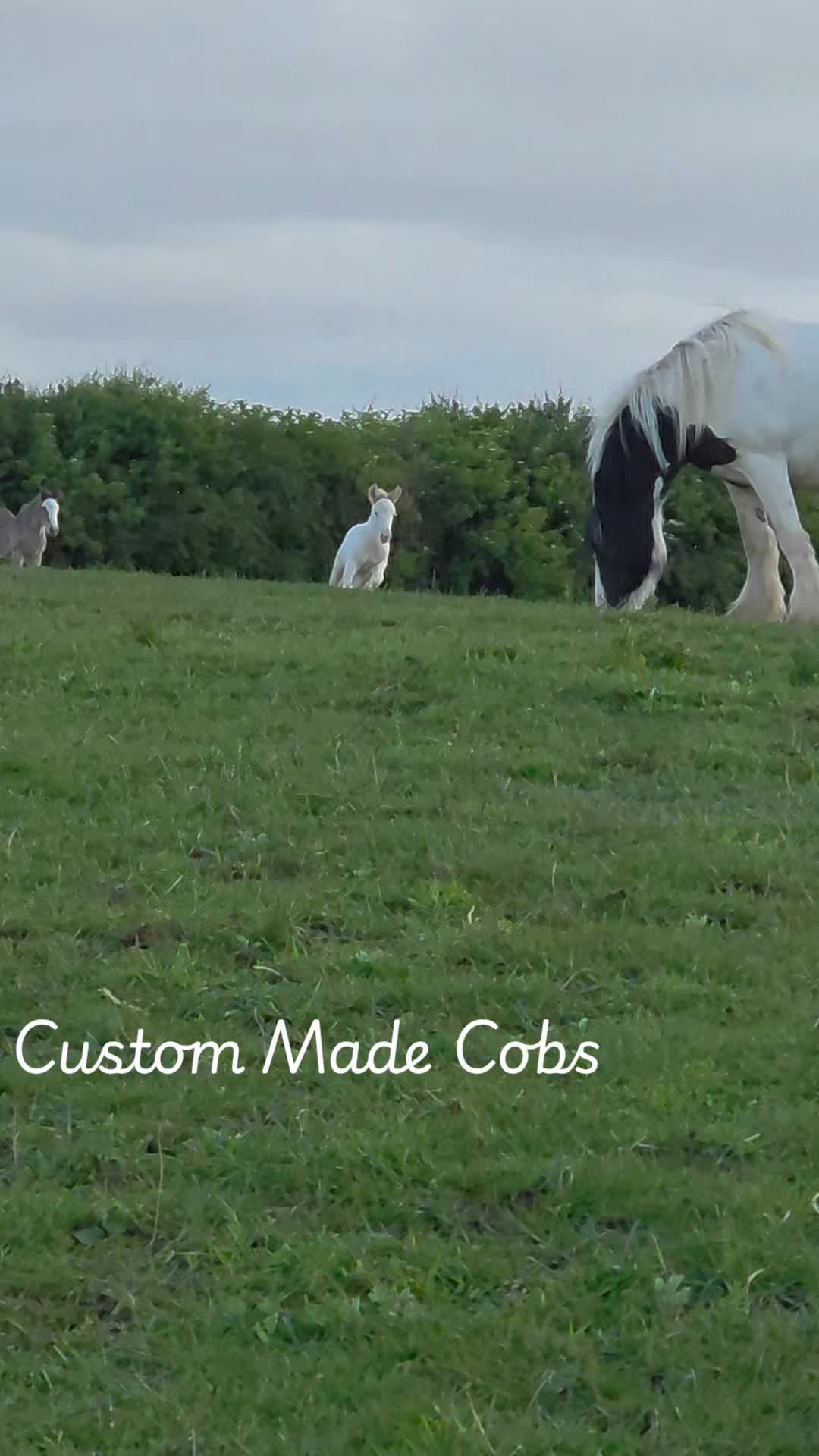 @custom.made.gypsy.cobs