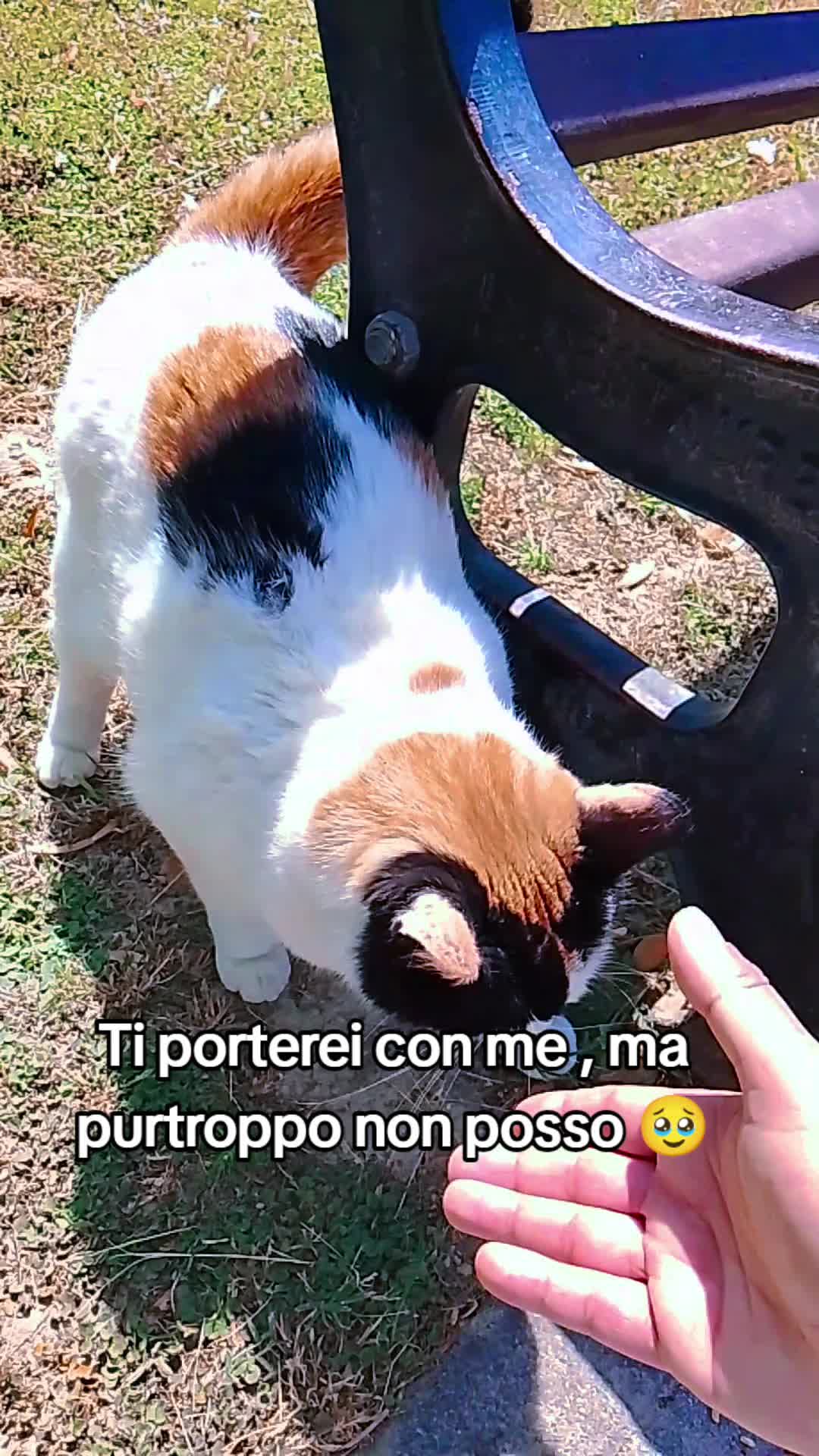 @🤷NON PIÙ ADRIAN🤷