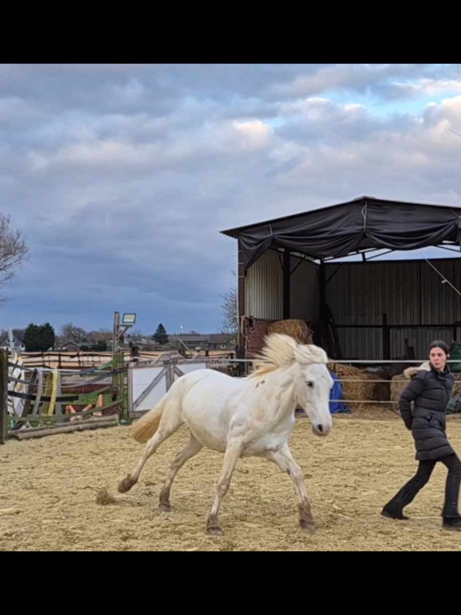 @Lisas kleine Ranch 🐴