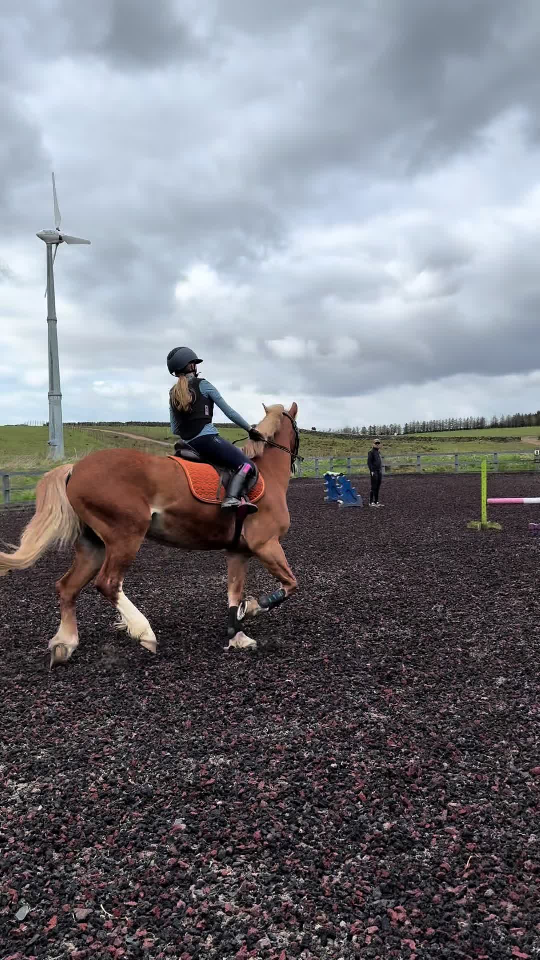 @Ellie 🐴🏎️