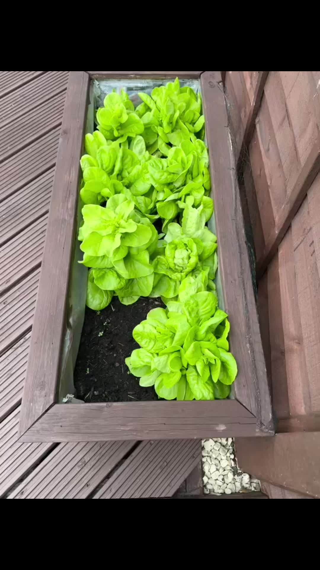 @Granddad Greenhouse